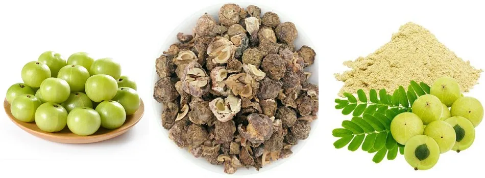 emblica officinalis fruit extract emblica officinalis fruit extract