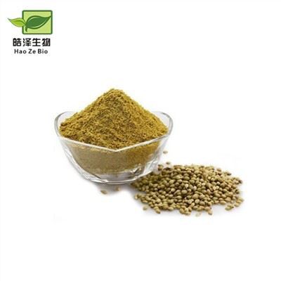 コリアンダーパウダー